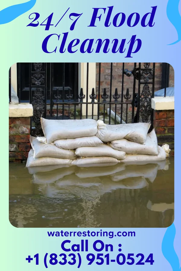 24/7 Flood Cleanup in Coopersville, MI