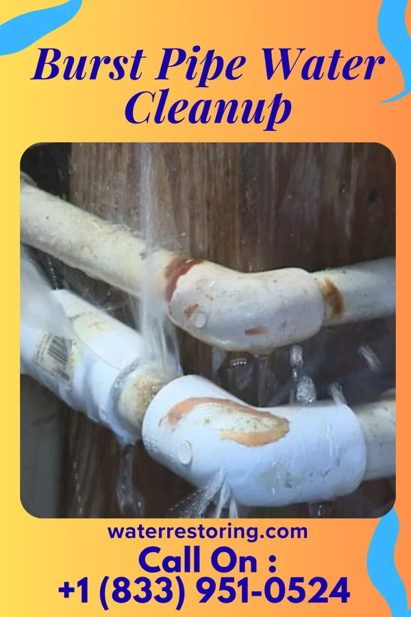 Burst Pipe Water Cleanup in Coopersville, MI