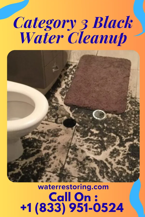 Category 3 Black Water Cleanup in Coopersville, MI