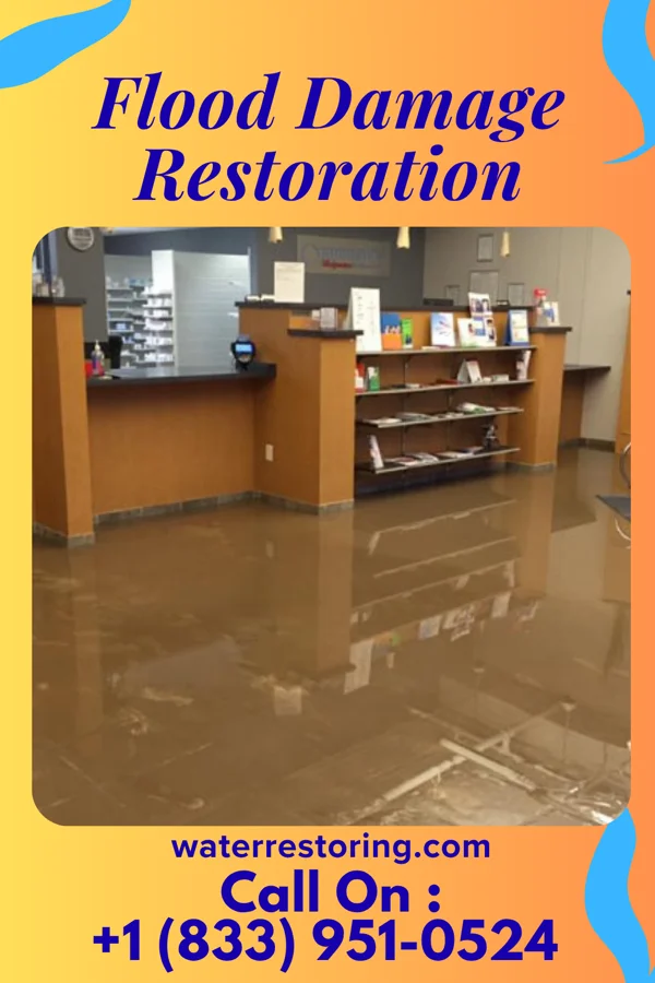 Flood Damage Restoration in Coopersville, MI
