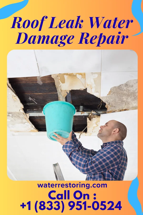 Roof Leak Water Damage Repair in Coopersville, MI