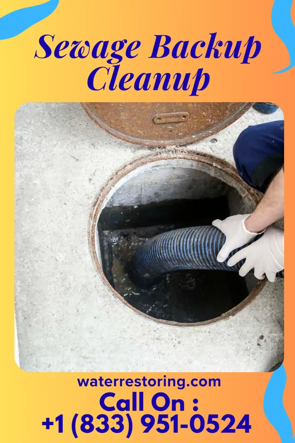 Sewage Backup Cleanup in Coopersville, MI