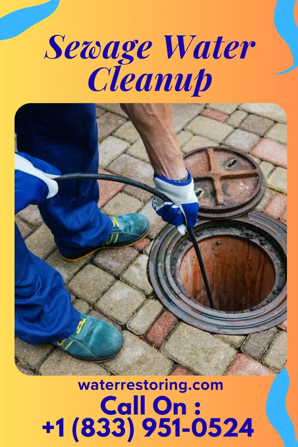 Sewage Water Cleanup in Coopersville, MI