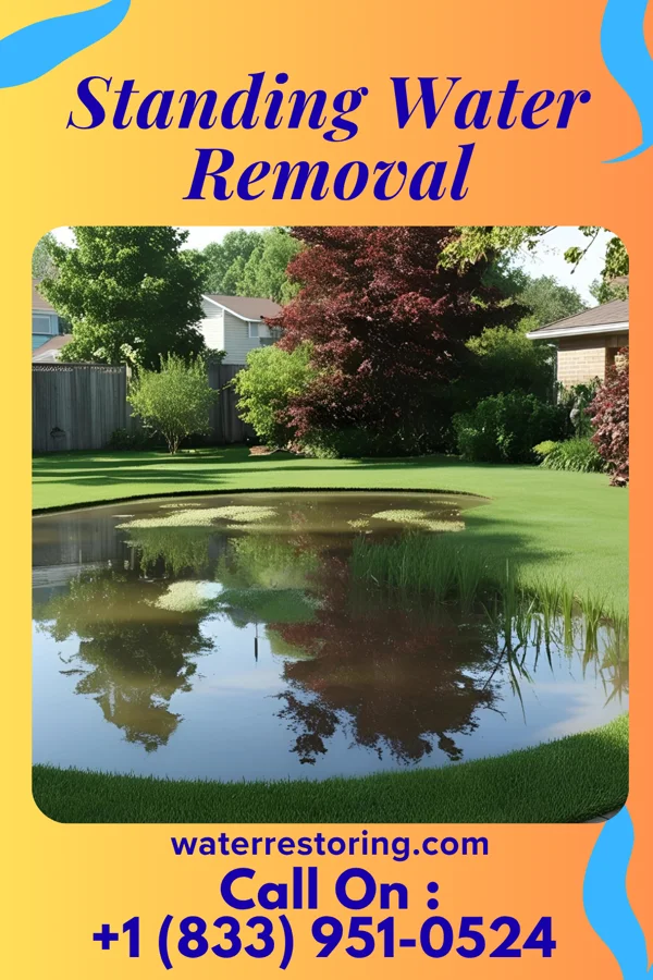 Standing Water Removal in Coopersville, MI